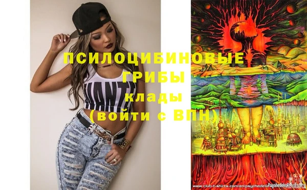PSILOCYBIN Пересвет
