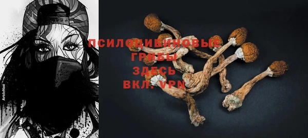 PSILOCYBIN Пересвет