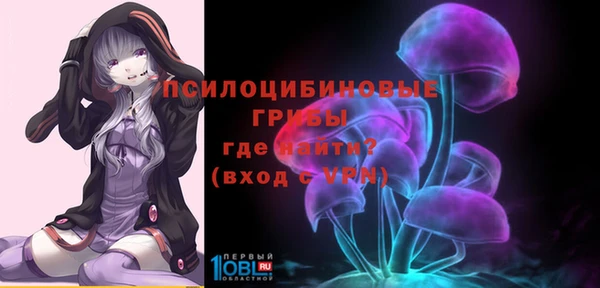 PSILOCYBIN Пересвет