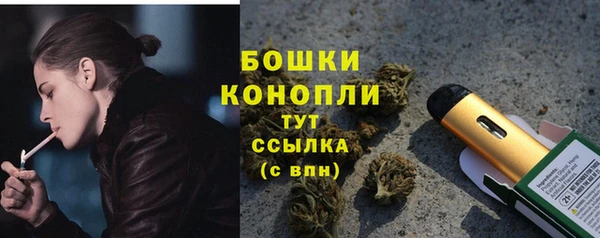 PSILOCYBIN Пересвет