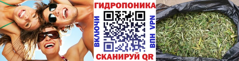 Бошки Шишки VHQ  Бодайбо 